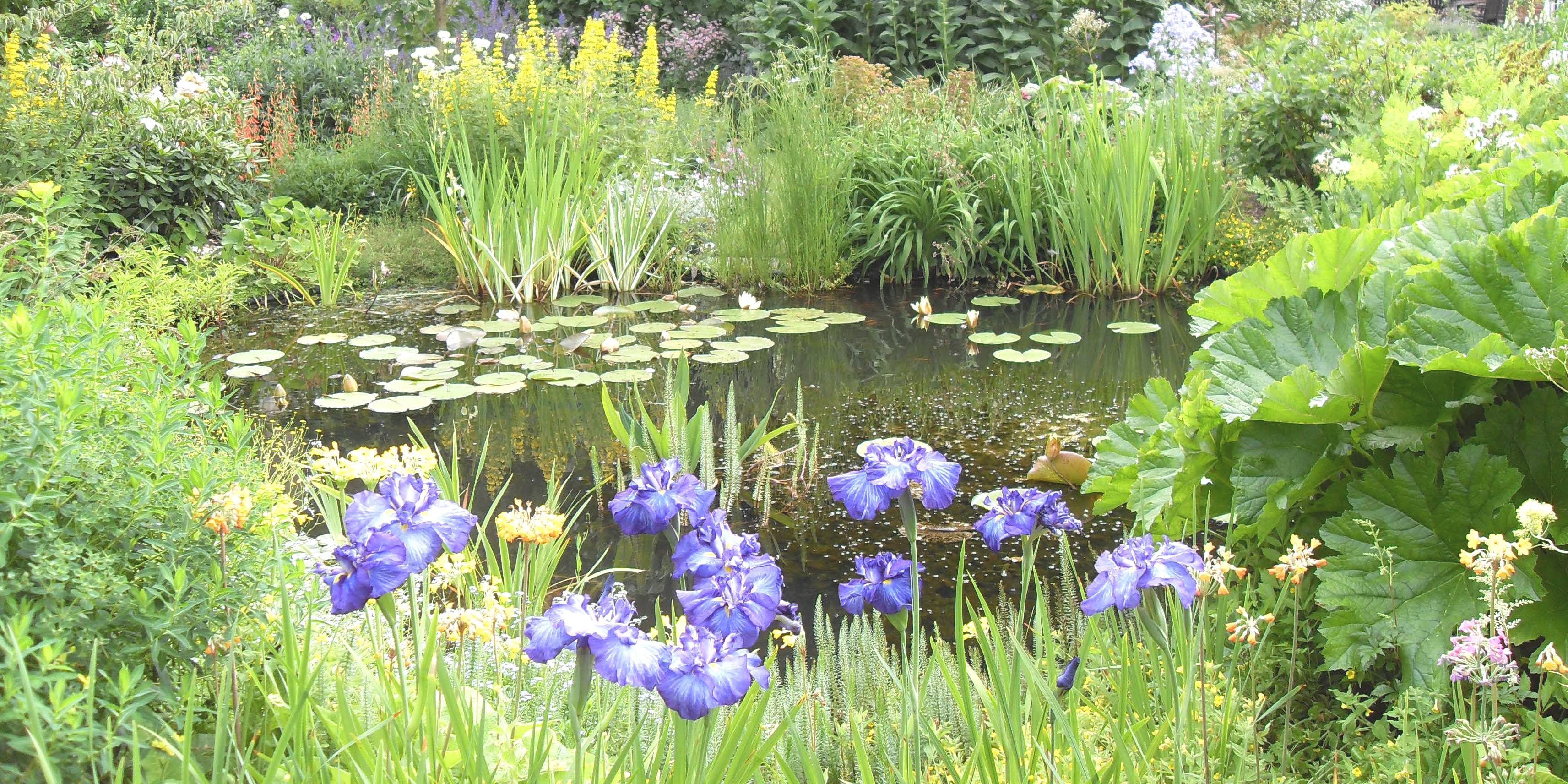 informele vijver @city